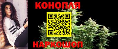 гидропоника Кингисепп