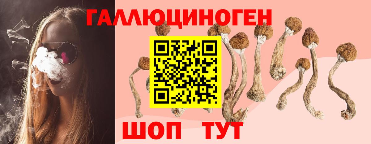 Псилоцибиновые грибы Cubensis  Вход с VPN  Кстово 